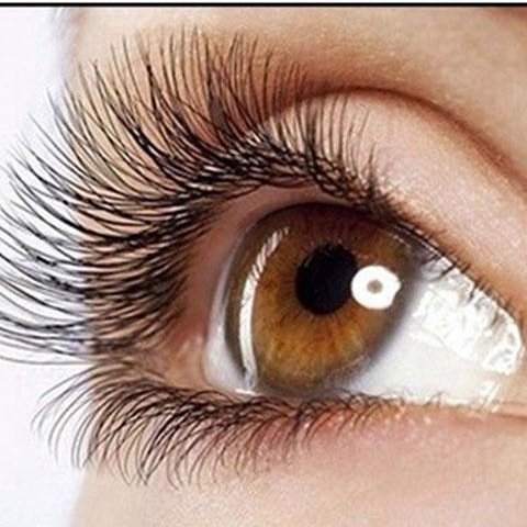 Close detail of the lash band on a hazel eye